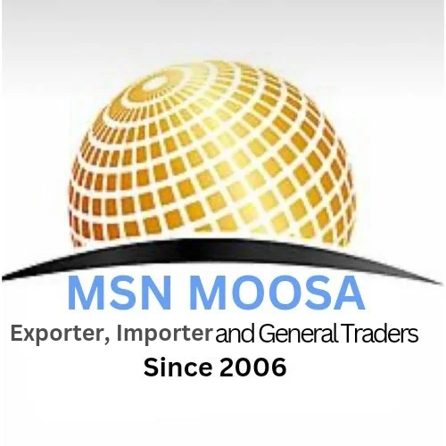 MSN Logo